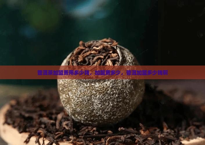 吴桥普洱茶加盟多少钱啊