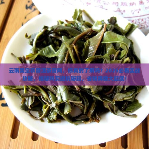 云南吴觉农普洱茶官网