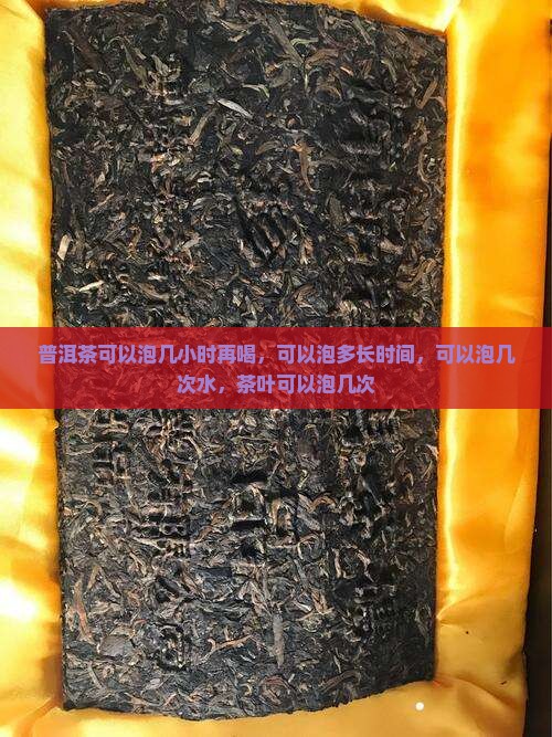 普洱茶可以泡几小时
