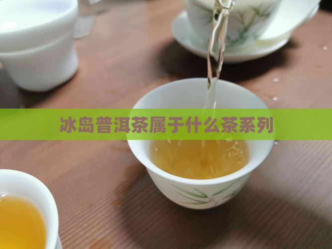 冰岛竹茶属于什么茶系列