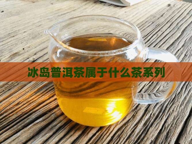 冰岛竹茶属于什么茶系列