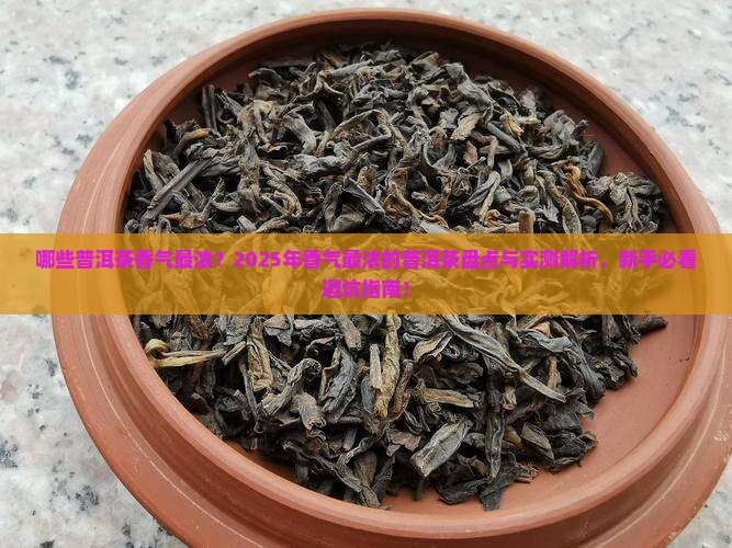 香气最浓的普洱茶有哪些