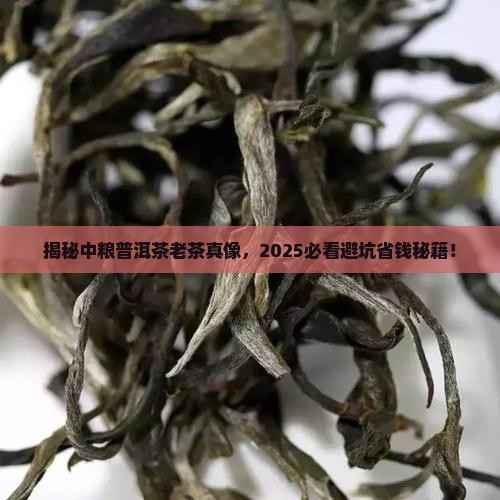 中粮普洱茶老茶