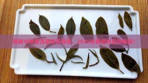 中粮普洱茶老茶