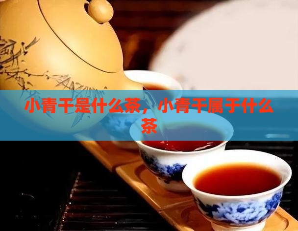 小青干是什么茶