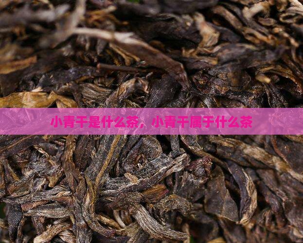 小青干是什么茶