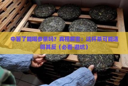 中暑能喝参茶吗