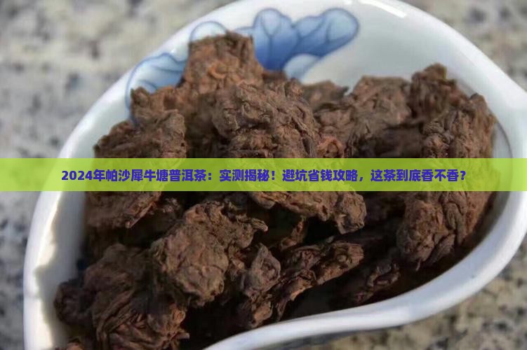 2024年帕沙犀牛塘普洱茶