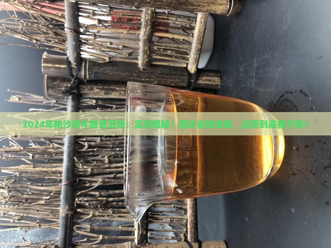 2024年帕沙犀牛塘普洱茶