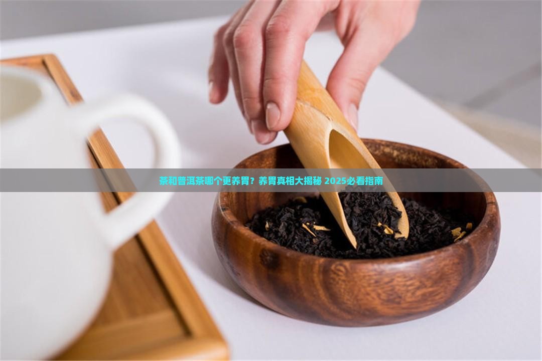茶和普洱茶哪个更养胃