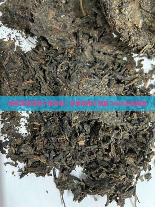 茶和普洱茶哪个更养胃
