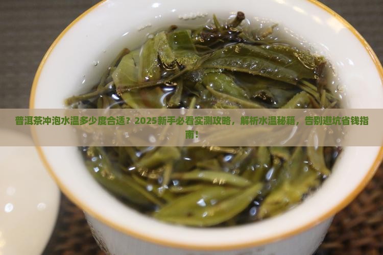 普洱茶用多少度的水冲泡