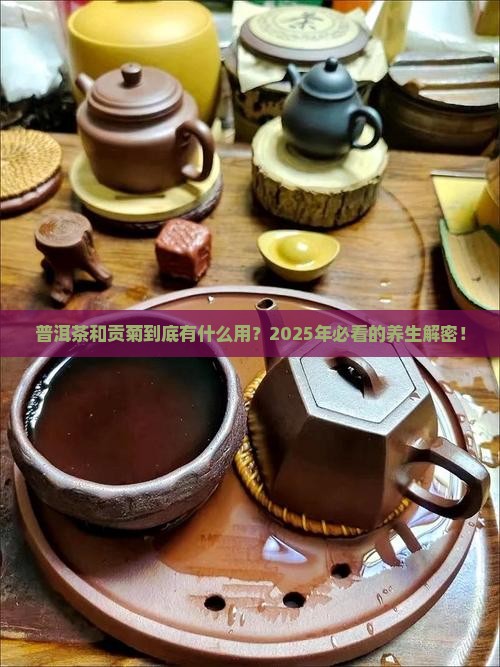 普洱茶和贡菊的作用