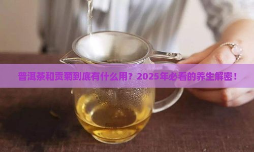 普洱茶和贡菊的作用