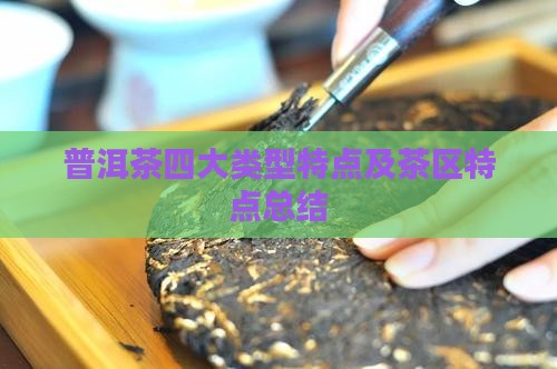 普洱茶四大类型特点