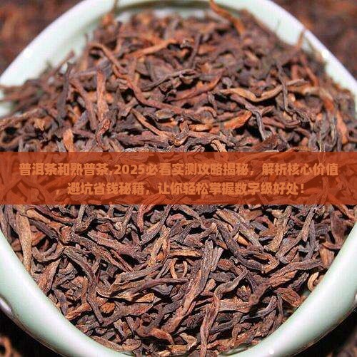 普洱茶和熟普茶