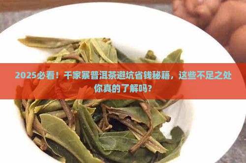 千家寨普洱茶不足处
