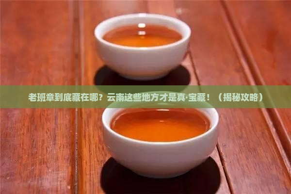 老班章云南什么地方的好