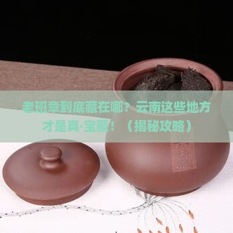 老班章云南什么地方的好