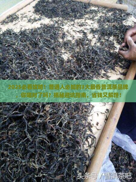 最香的普洱茶品牌