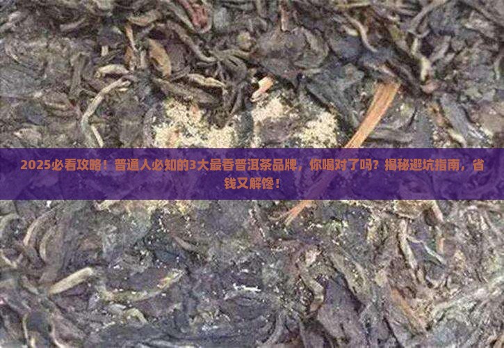 最香的普洱茶品牌