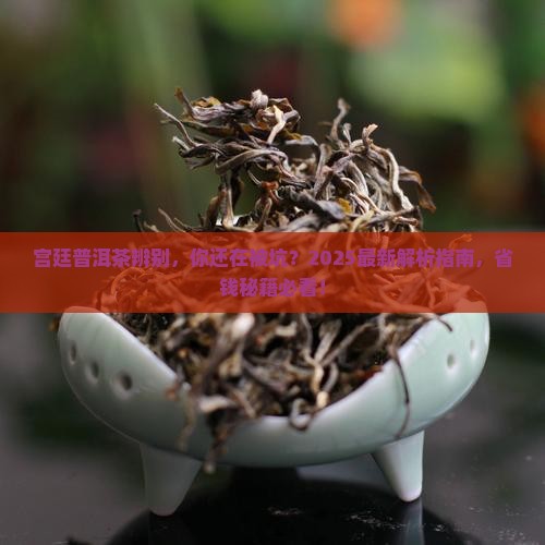 宫廷普洱茶辨别