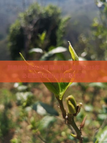 醉春秋冰岛私飨普洱茶价格