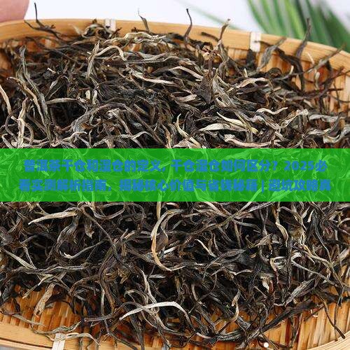 普洱茶干仓和湿仓的定义