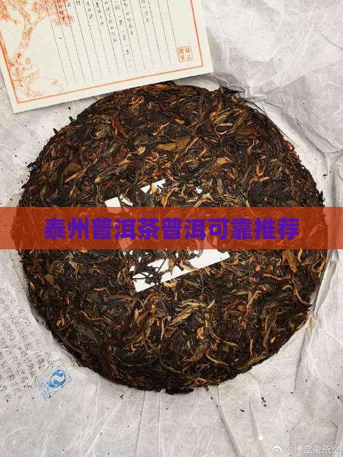 泰州可靠的普洱茶