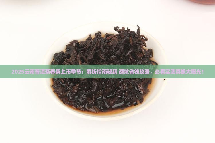 云南普洱茶春茶上市季节