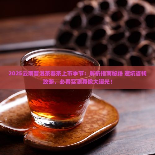 云南普洱茶春茶上市季节