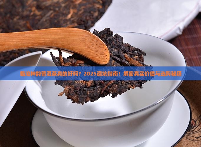 临沧神韵普洱茶
