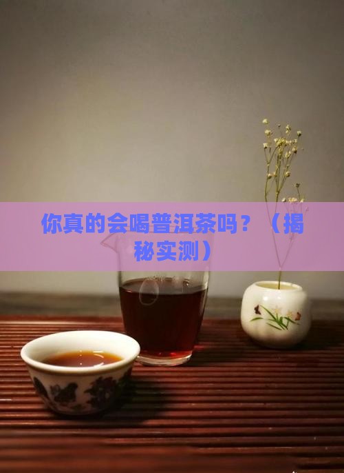 怎样才敢说你会喝普洱茶
