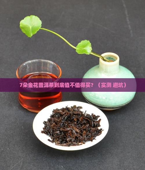 7朵金花普洱茶是什么茶