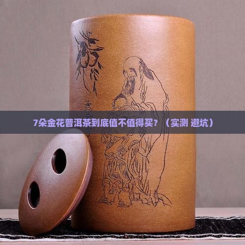 7朵金花普洱茶是什么茶