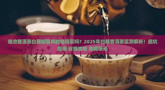 临沧普洱茶白麓橱窗