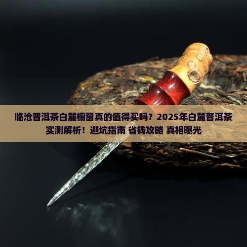 临沧普洱茶白麓橱窗