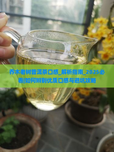 乔木老树普洱茶口感 乔木老树普洱茶口感