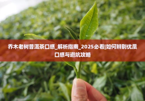 乔木老树普洱茶口感 乔木老树普洱茶口感
