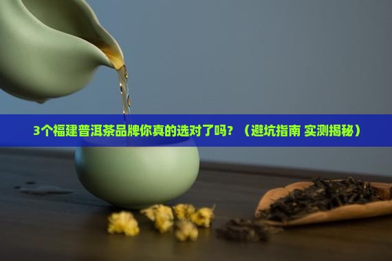 福建普洱茶品牌推荐