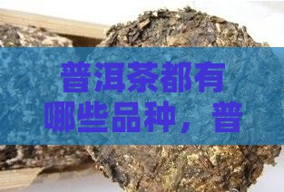 普洱茶都有哪些品种
