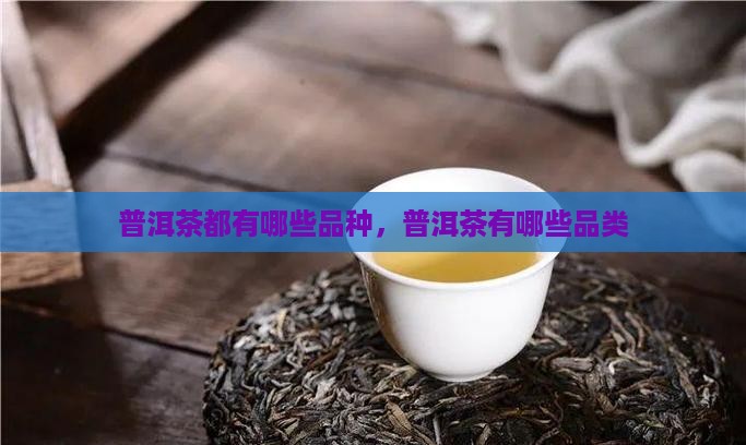 普洱茶都有哪些品种