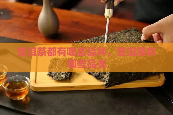 普洱茶都有哪些品种