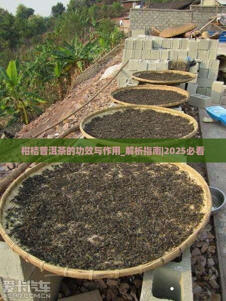 柑桔普洱茶的功效与作用