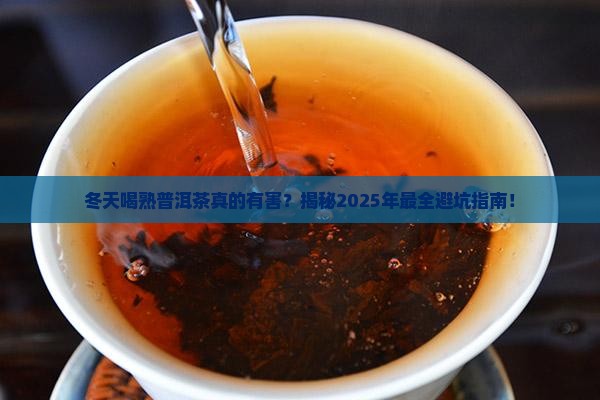 冬天喝熟普洱茶坏处