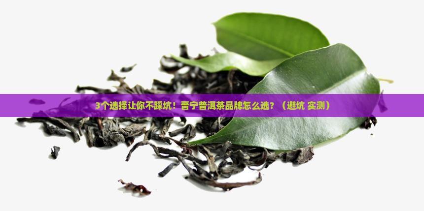 晋宁普洱茶品牌