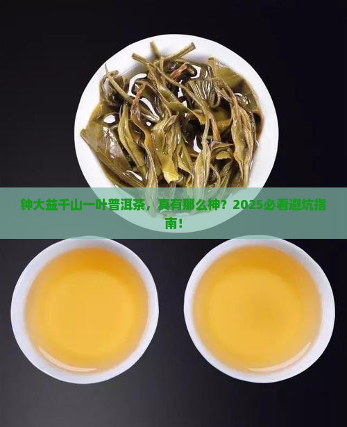 钟大益千山一叶普洱茶