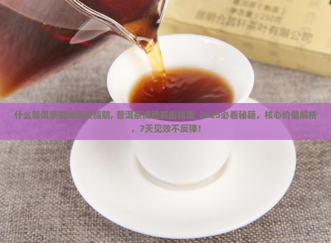 什么普洱茶能减肥去脂肪