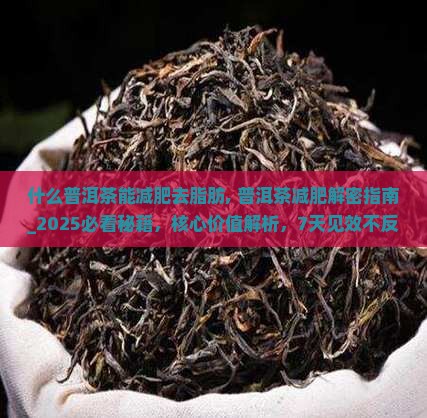 什么普洱茶能减肥去脂肪