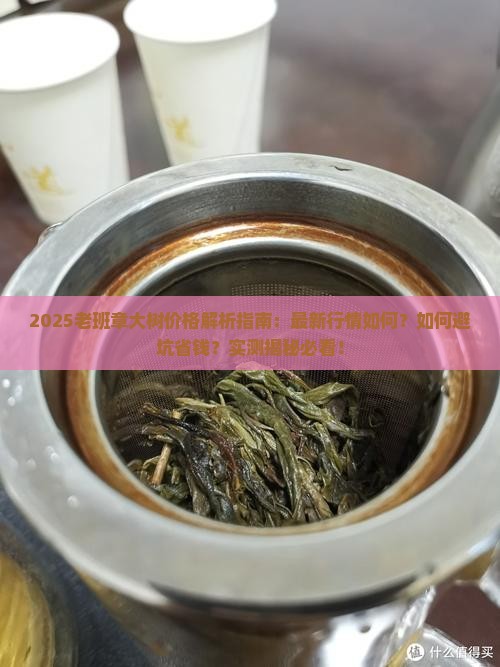 2017老班章大树价格